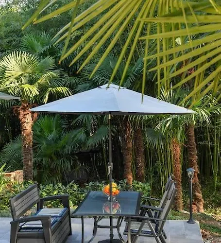 Lovely In The Park Near The *