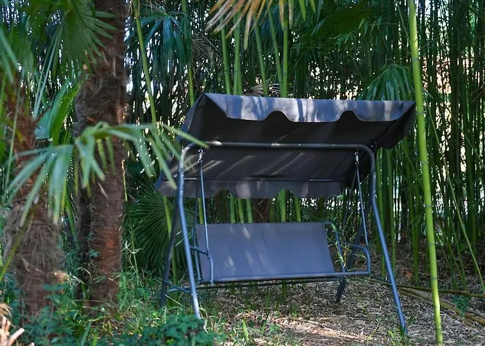 Lovely In The Park Near The